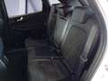 Ford Kuga 2.5 PHEV ST-LINE X *Adp.LED*ACC*Kameras* Weiß - thumbnail 9