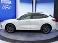 Ford Kuga 2.5 PHEV ST-LINE X *Adp.LED*ACC*Kameras* Weiß - thumbnail 3