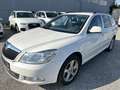 Skoda Octavia Combi 1,6 Twenty TDI DPF DSG Blanco - thumbnail 1
