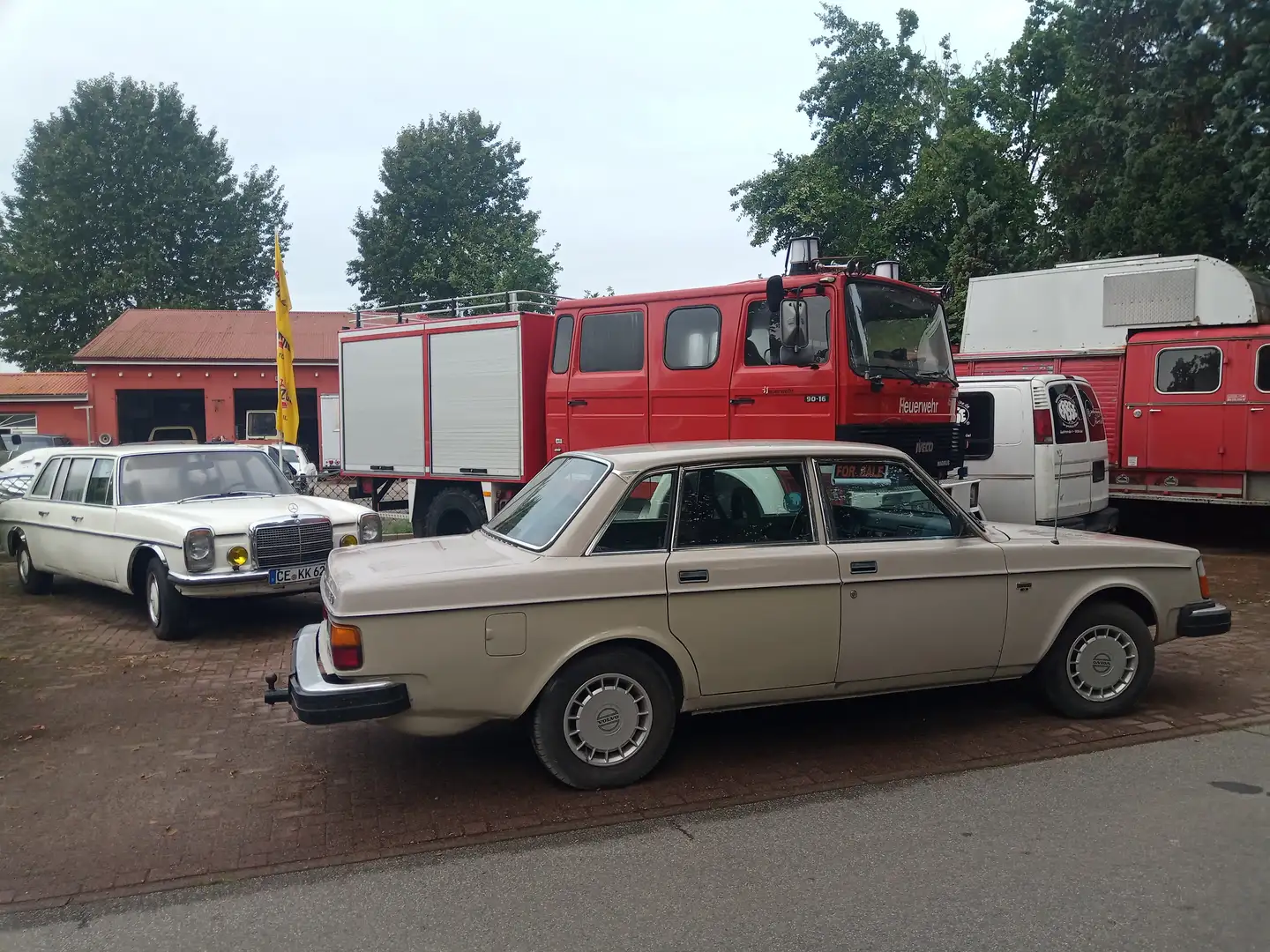 Volvo 244 Volvo GL244 1.9 Bastlerfahrzeug Oldtimer von 1979 Beige - 2