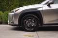 Lexus UX 250h UX 250h Hybrid /Camera/Alcantara/ACC/Carplay/BiLED Beige - thumbnail 9