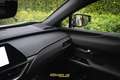 Lexus UX 250h UX 250h Hybrid /Camera/Alcantara/ACC/Carplay/BiLED Beige - thumbnail 31
