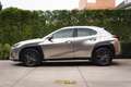 Lexus UX 250h UX 250h Hybrid /Camera/Alcantara/ACC/Carplay/BiLED Beige - thumbnail 8