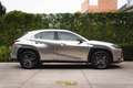 Lexus UX 250h UX 250h Hybrid /Camera/Alcantara/ACC/Carplay/BiLED Beige - thumbnail 4