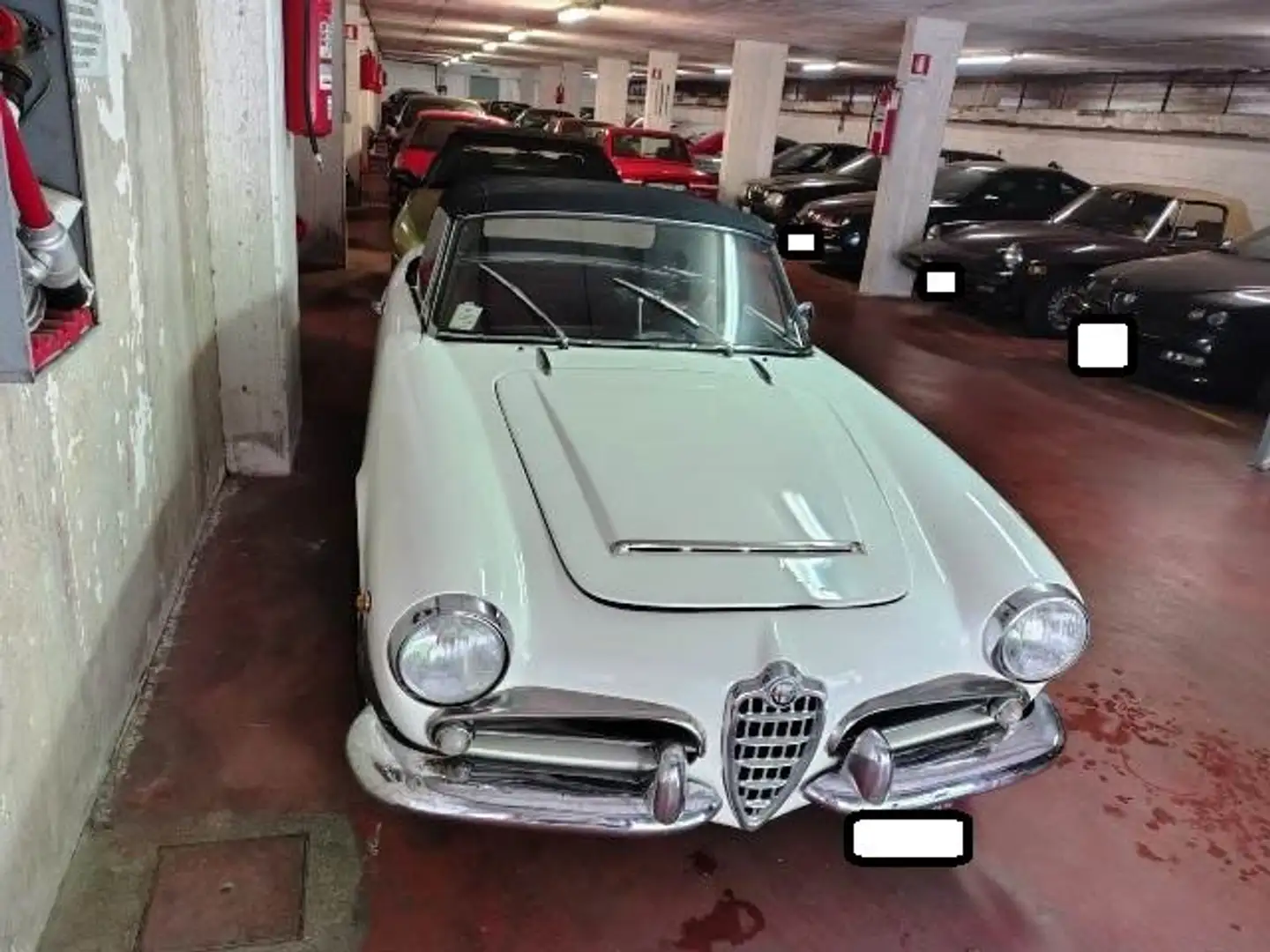Alfa Romeo Giulia spider 1600 Bianco - 2