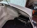 Alfa Romeo Giulia spider 1600 Bianco - thumbnail 12