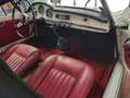 Alfa Romeo Giulia spider 1600 Bianco - thumbnail 8
