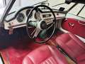 Alfa Romeo Giulia spider 1600 Bianco - thumbnail 4