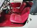 Alfa Romeo Giulia spider 1600 Blanc - thumbnail 19
