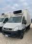 Iveco Daily 60 C15 ISOTERMICO -20° CON PORTA LATERALE DX Bianco - thumbnail 3