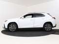 Lexus UX 250h AWD F Sport Line | President Pack | Sunroof | Mark Alb - thumbnail 3