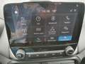 Ford EcoSport Cool & Connect NAVI  Allwetter Grey - thumbnail 23