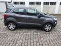 Ford EcoSport Cool & Connect NAVI  Allwetter Grey - thumbnail 6