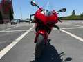 Ducati Panigale V4 Rojo - thumbnail 7