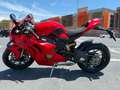 Ducati Panigale V4 Rojo - thumbnail 8