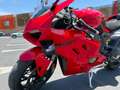 Ducati Panigale V4 Rojo - thumbnail 4