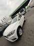 BMW X6 xDrive30d Sport Activity Coupé Österreich-Paket Aut. Weiß - thumbnail 7