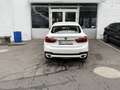 BMW X6 xDrive30d Sport Activity Coupé Österreich-Paket Aut. Weiß - thumbnail 10