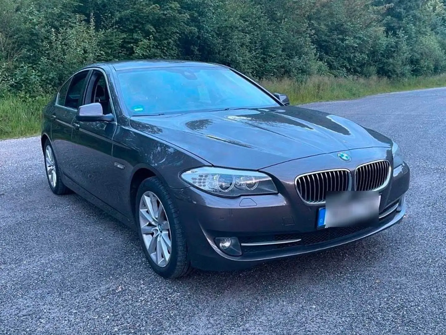BMW 520 520d Braun - 1