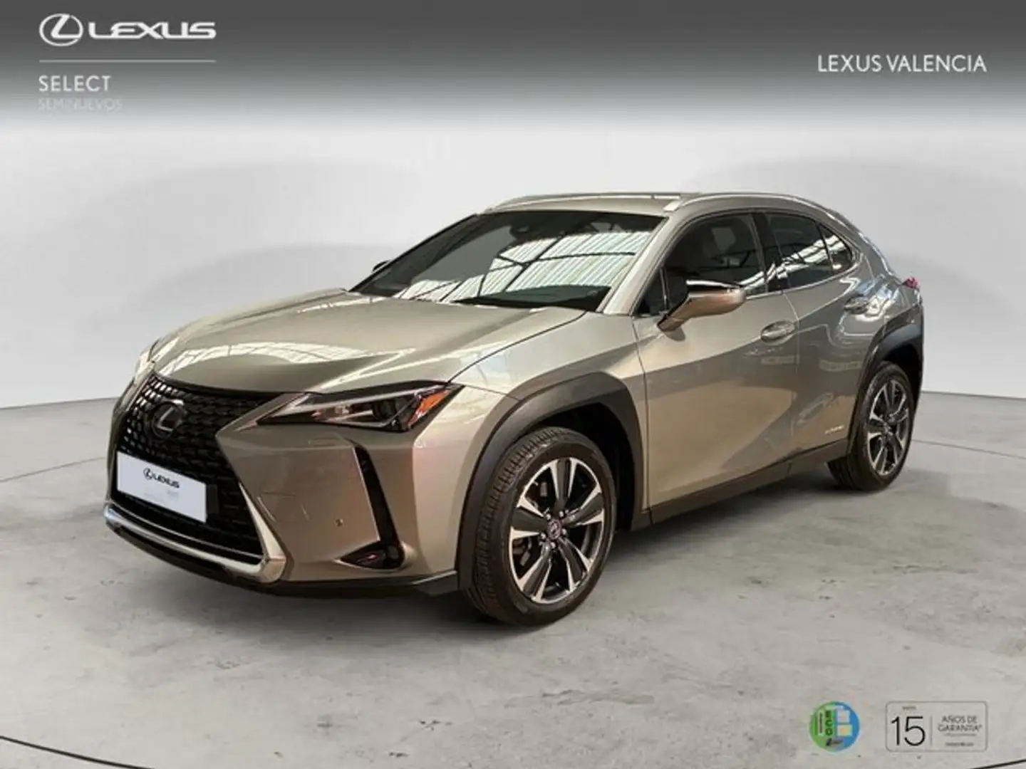 Lexus UX 300e PREMIUM Grey - 1