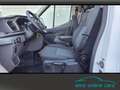 Ford Transit FT350 L3H3 SYNC4*Kamera*2xAirbag AHK Weiß - thumbnail 10