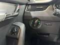 Skoda Octavia 1.6TDI CR Ambition 105 Negro - thumbnail 19