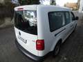 Volkswagen Caddy Maxi Life 1.0 TSI LR Kombi Klima SHZ GRA ZV eFe Blanc - thumbnail 7