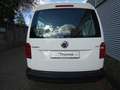 Volkswagen Caddy Maxi Life 1.0 TSI LR Kombi Klima SHZ GRA ZV eFe Blanc - thumbnail 8