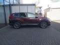 Honda CR-V 2.0 i-MMD HYBRID 4WD Elegance Navi/LED Braun - thumbnail 5