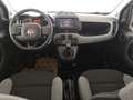 Fiat New Panda 1.0 FireFly S&S Hybrid  City Cross Blanc - thumbnail 11