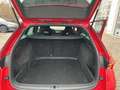 Skoda Octavia Combi RS TDI DSG 4x4 HuD ACC AHK Rot - thumbnail 8