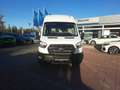 Ford Transit Kasten 350 L3 H3 Trend ACC/360°KAMERA Sitzh Biały - thumbnail 3