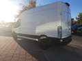 Ford Transit Kasten 350 L3 H3 Trend ACC/360°KAMERA Sitzh Biały - thumbnail 8