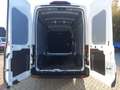 Ford Transit Kasten 350 L3 H3 Trend ACC/360°KAMERA Sitzh Biały - thumbnail 12