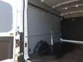 Ford Transit Kasten 350 L3 H3 Trend ACC/360°KAMERA Sitzh Biały - thumbnail 13
