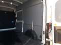 Ford Transit Kasten 350 L3 H3 Trend ACC/360°KAMERA Sitzh Biały - thumbnail 14