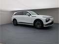 Xpeng G9 RWD Long Range Modell24 PremiumP ACC CarPlay Alb - thumbnail 8