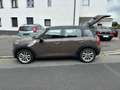 MINI Maro - thumbnail 3