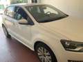 Volkswagen Polo Polo V 2009 5p 1.2 Comfortline 70cv Bianco - thumbnail 3