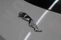 Jaguar F-Type 2.0 P300 Coupe Meridian/Kamera/Memory Blanc - thumbnail 14