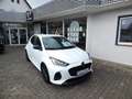 Mazda 2 Hybrid 1.5L Hybrid VVT-i Homura Blanc - thumbnail 1