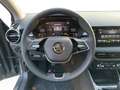 Skoda Fabia 1.0 TSI Drive LED*SMART-LINK*SHZ*TEMPO*PDC*KAME... Grau - thumbnail 14
