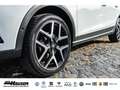 SEAT Arona FR 1.5 TSI DSG BEATS NAVI KAMERA PARK LED FULL-LIN Weiß - thumbnail 6