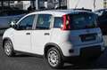 Fiat Panda 1.0 FireFly S&S Hybrid 70cv 5P.TI Biały - thumbnail 7