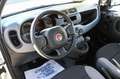 Fiat Panda 1.0 FireFly S&S Hybrid 70cv 5P.TI Biały - thumbnail 12