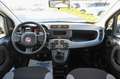 Fiat Panda 1.0 FireFly S&S Hybrid 70cv 5P.TI Biały - thumbnail 11