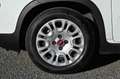 Fiat Panda 1.0 FireFly S&S Hybrid 70cv 5P.TI Biały - thumbnail 10