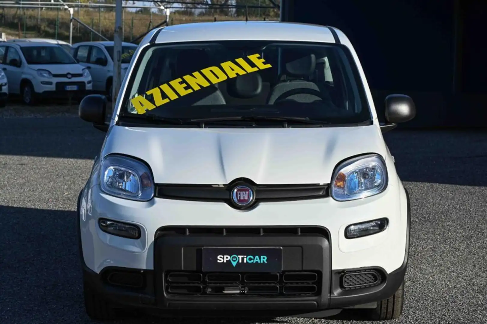 Fiat Panda 1.0 FireFly S&S Hybrid 70cv 5P.TI Biały - 2