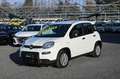 Fiat Panda 1.0 FireFly S&S Hybrid 70cv 5P.TI Biały - thumbnail 1