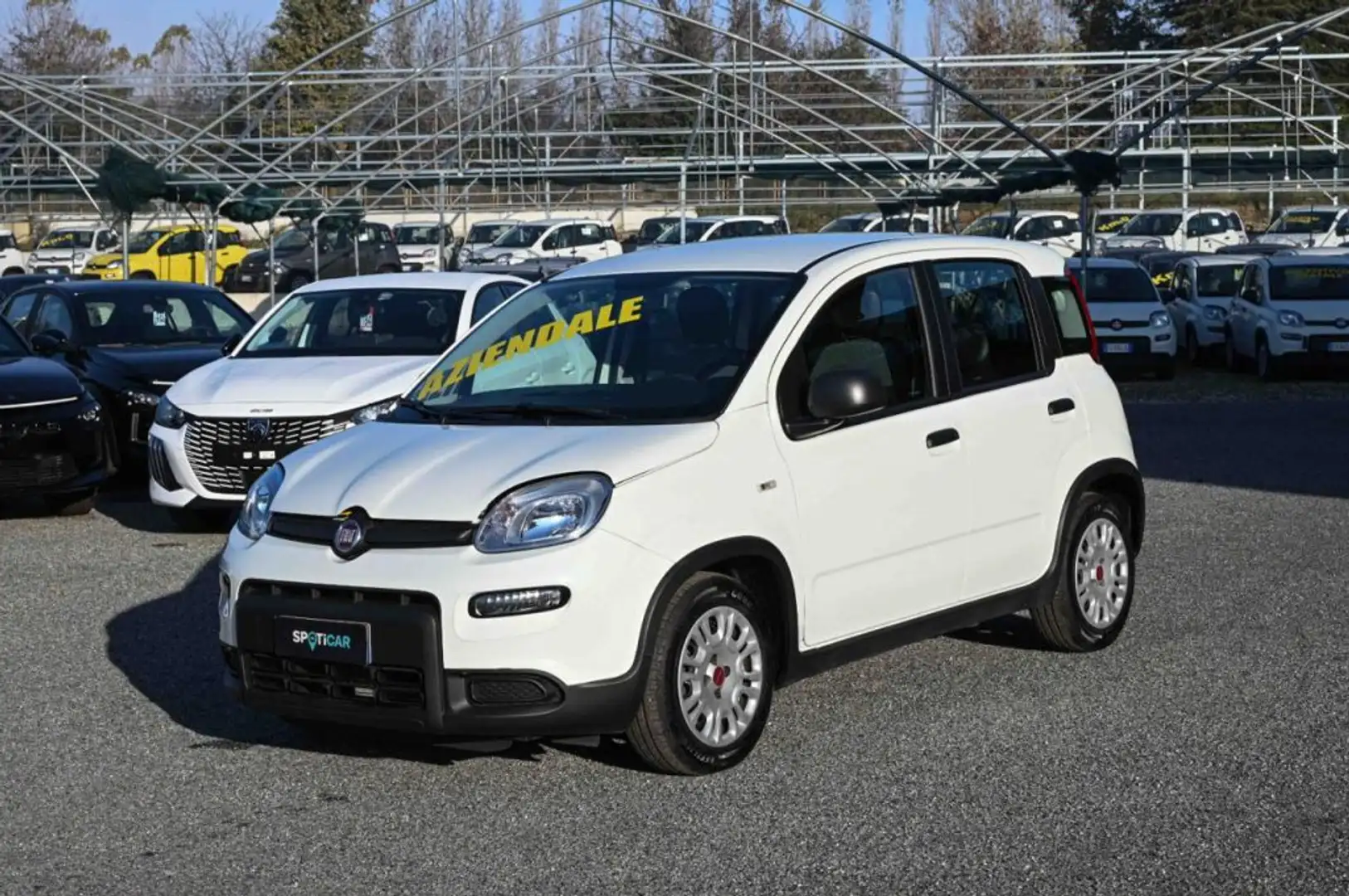 Fiat Panda 1.0 FireFly S&S Hybrid 70cv 5P.TI Biały - 1